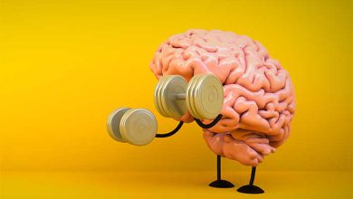 توسعه فردی brain