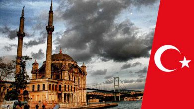 اطلاعات عمومی Immigration