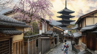 اطلاعات عمومی ساختمان های ژاپنی