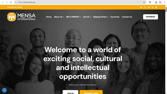 منسا بین‌الملل